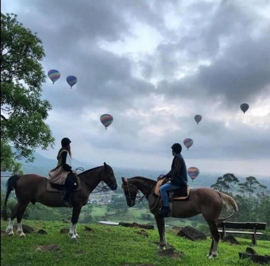 Alvorada Mountain - 1 Villa Mampituba ภายนอก รูปภาพ